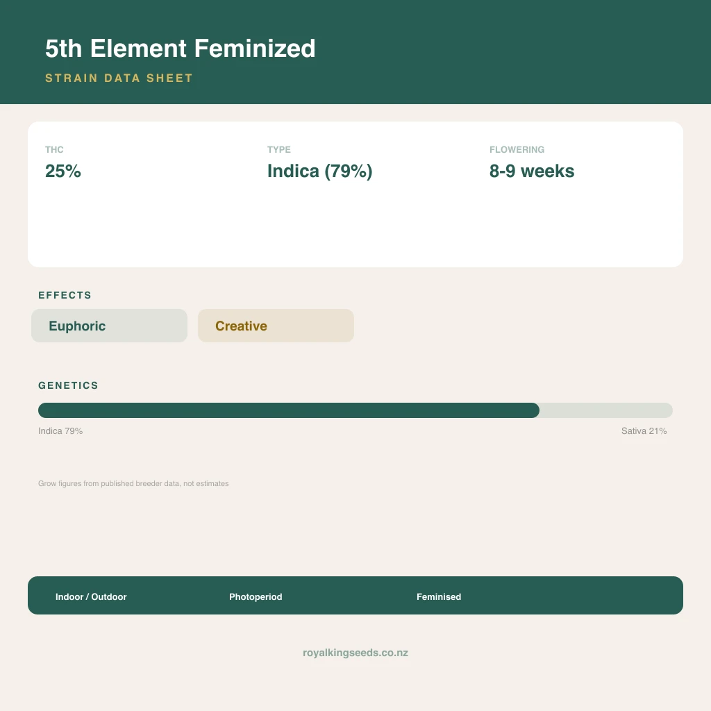 5th Element 79% indica / 21% sativa flower with visible trichomes