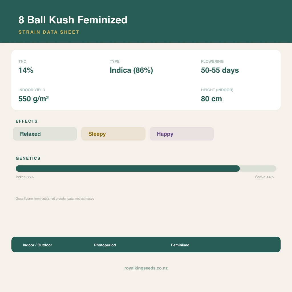 8 Ball Kush 86% indica / 14% sativa flower with visible trichomes