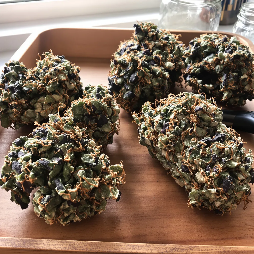 Ace of Spades 66% indica / 34% sativa flower with visible trichomes