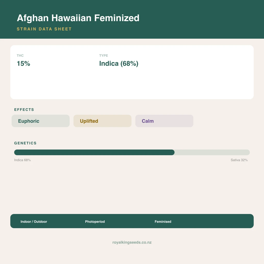 Afghan Hawaiian 68% indica / 32% sativa flower with visible trichomes