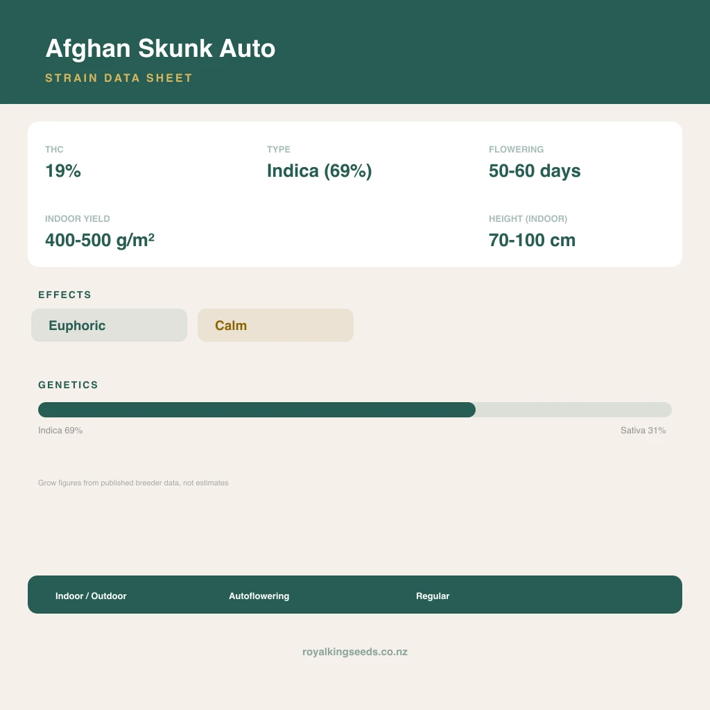 Afghan Skunk 69% indica / 31% sativa flower with visible trichomes