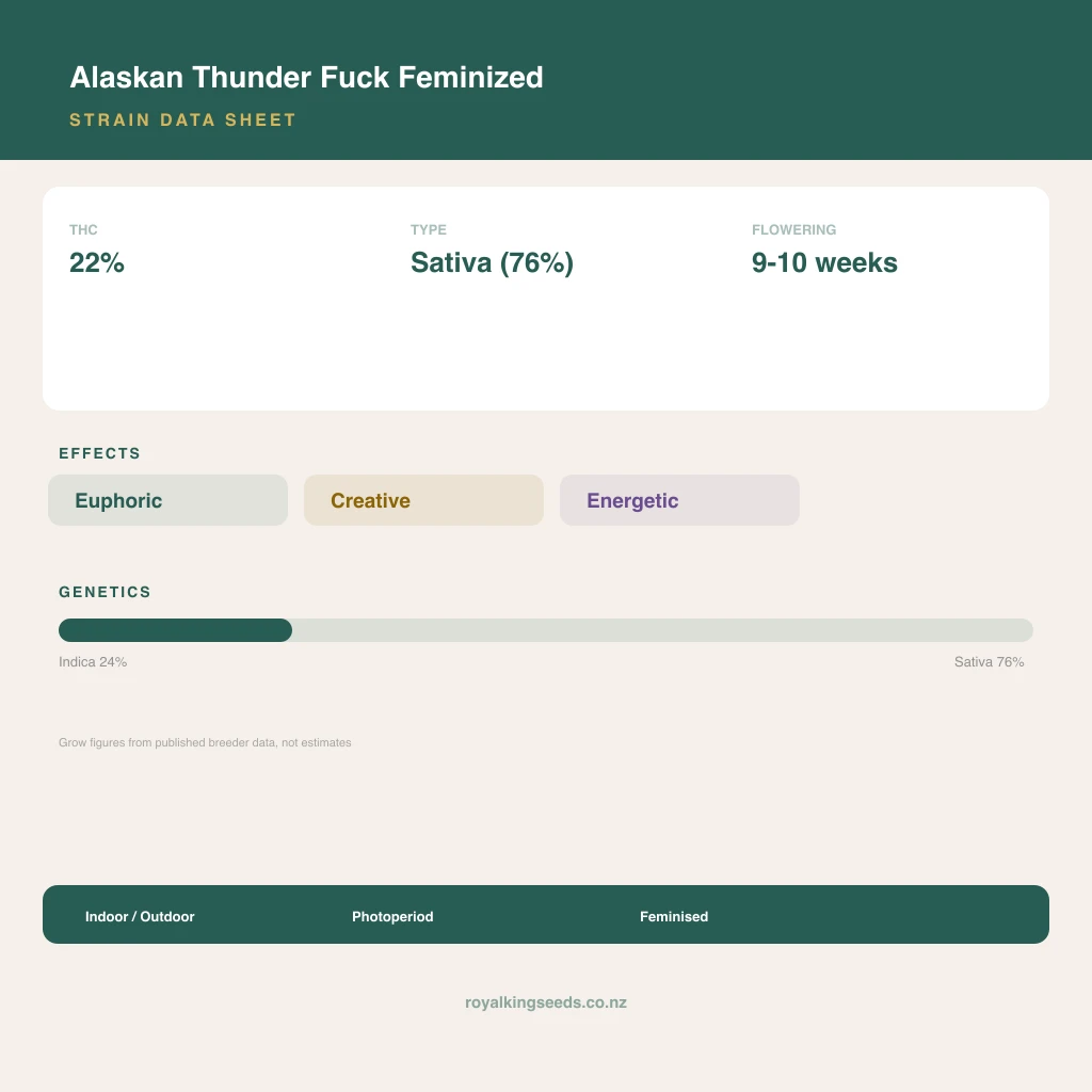 Alaskan Thunder Fuck 24% indica / 76% sativa flower with visible trichomes