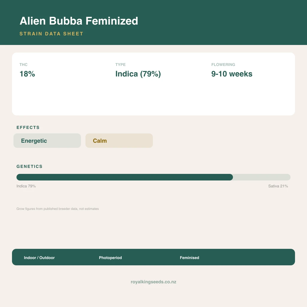 Alien Bubba 79% indica / 21% sativa flower with visible trichomes