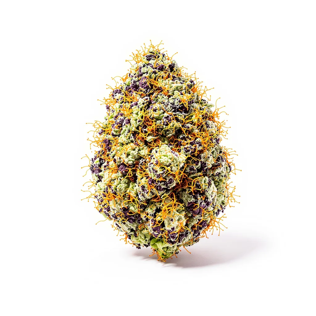 Alien Bubba 79% indica / 21% sativa flower with visible trichomes