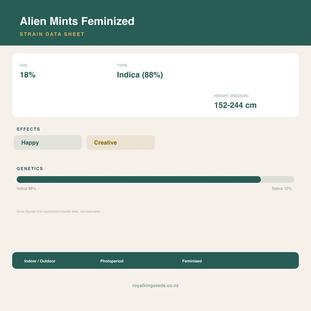 Alien Mints 88% indica / 12% sativa flower with visible trichomes