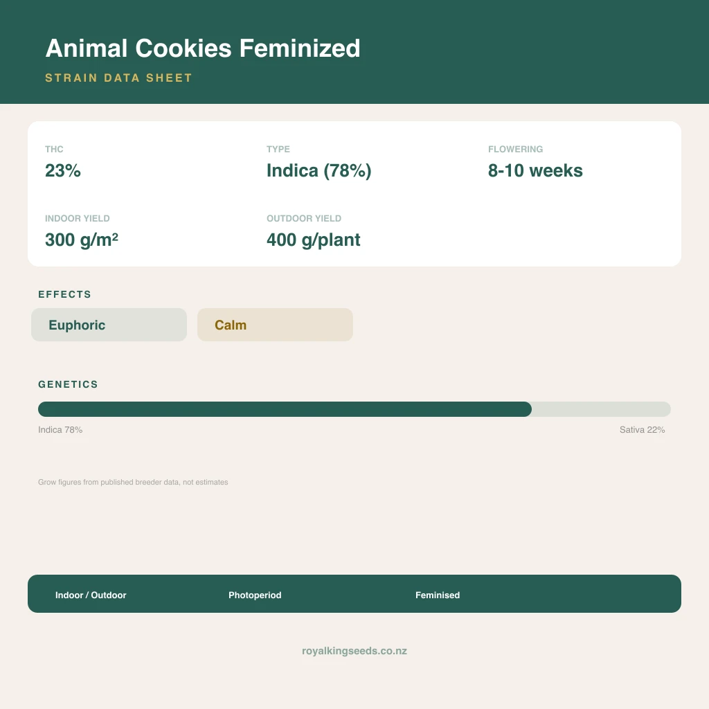 Animal Cookies 78% indica / 22% sativa flower with visible trichomes