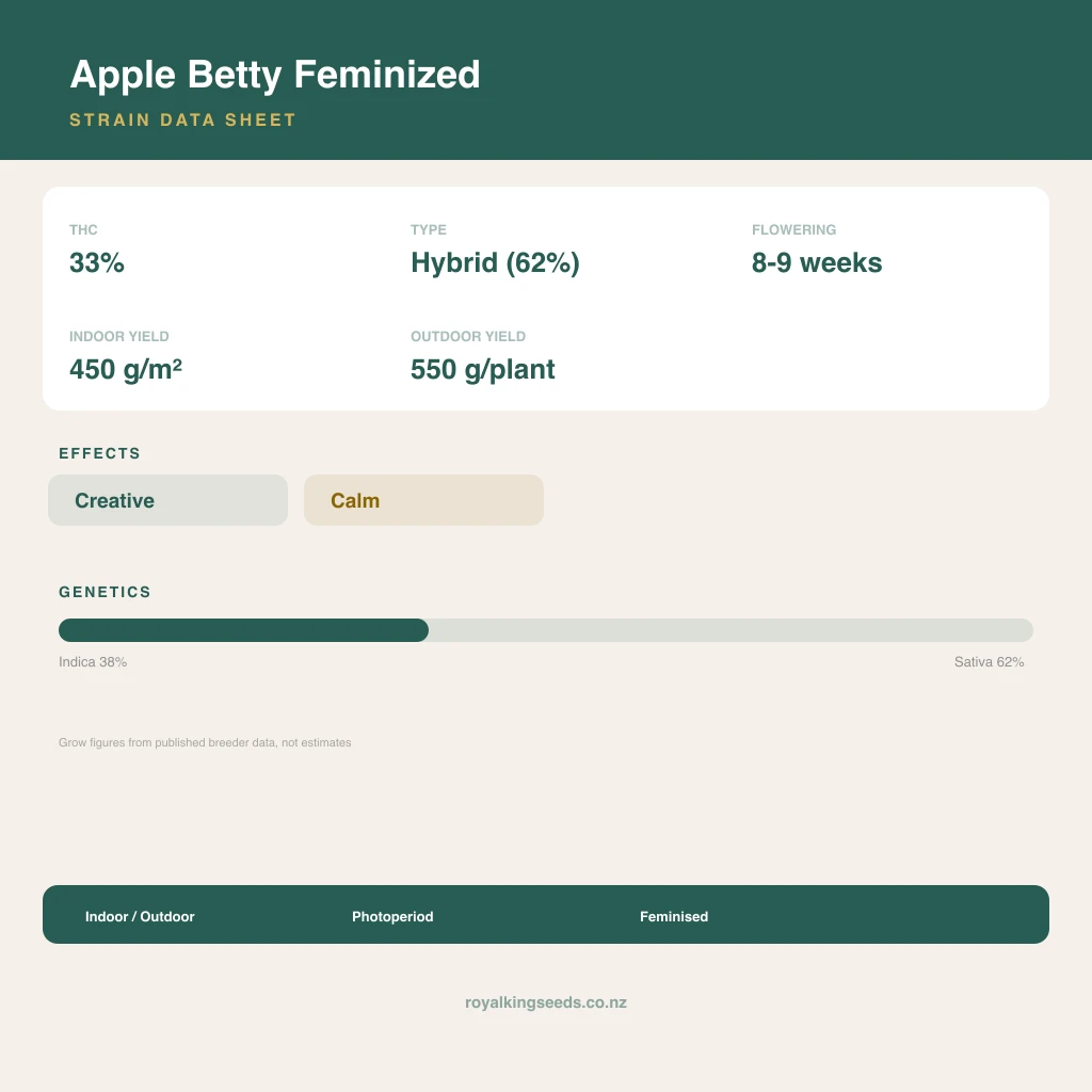 Apple Betty 38% indica / 62% sativa flower with visible trichomes