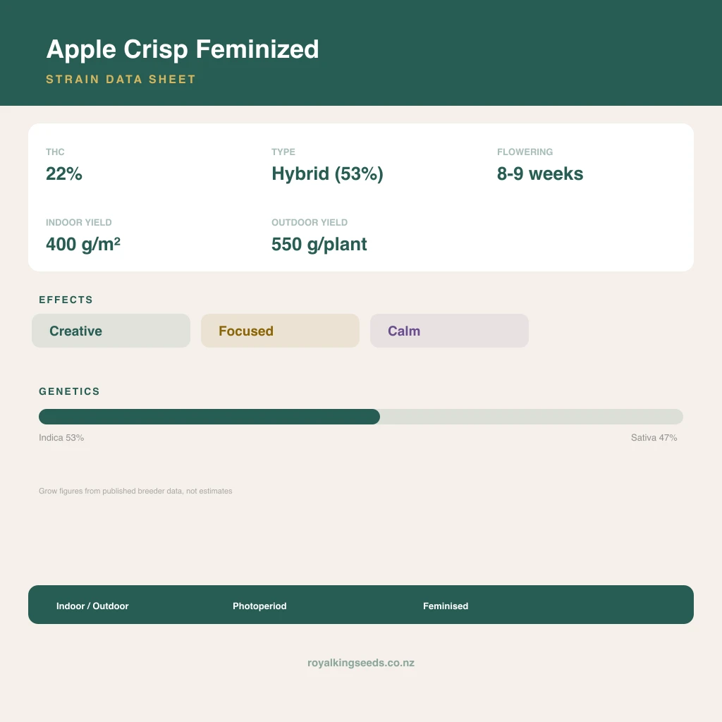 Apple Crisp 53% indica / 47% sativa flower with visible trichomes