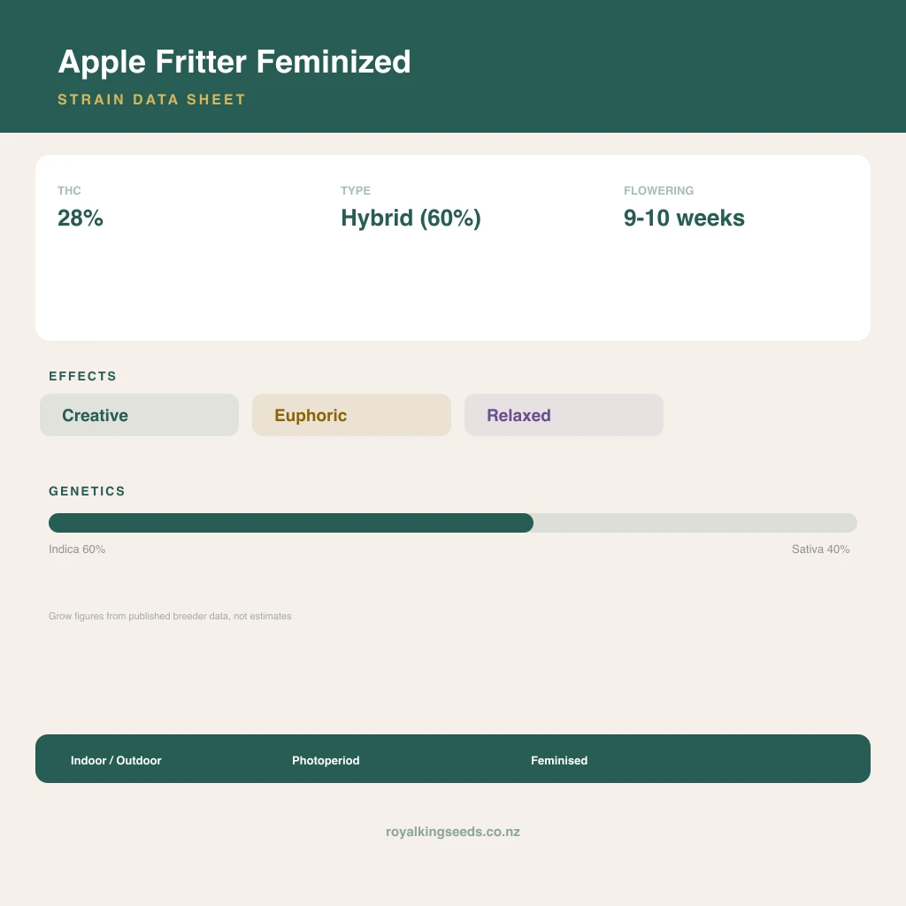 Apple Fritter 60% indica / 40% sativa flower with visible trichomes