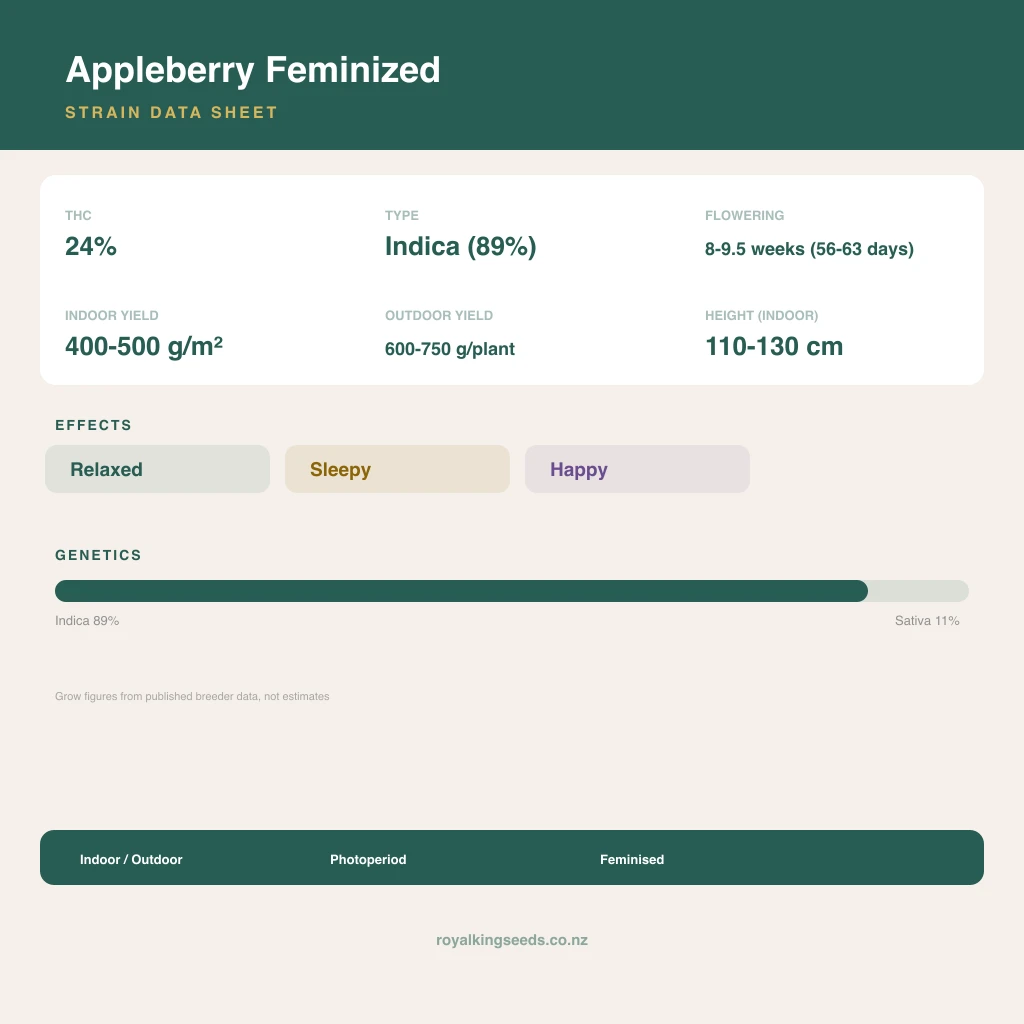 Appleberry 89% indica / 11% sativa flower with visible trichomes