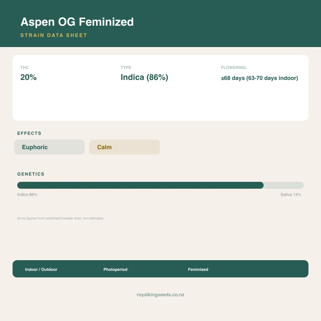 Aspen OG 86% indica / 14% sativa flower with visible trichomes