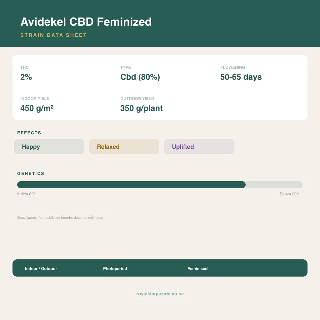 Avidekel CBD 80% indica / 20% sativa flower with visible trichomes