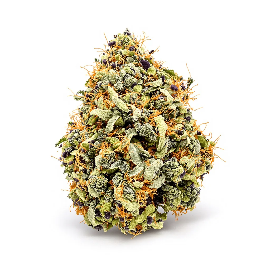 Barbara Bud 69% indica / 31% sativa flower with visible trichomes