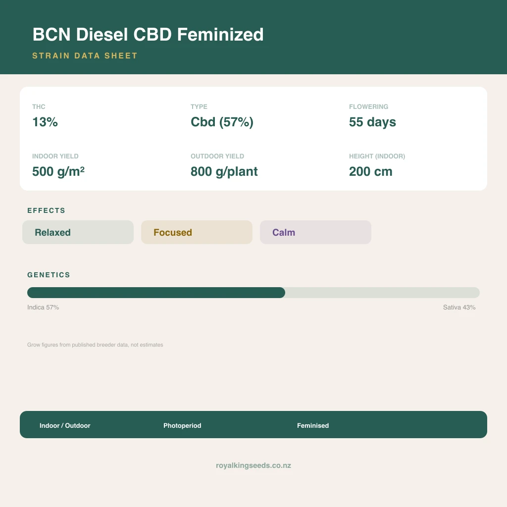 BCN Diesel CBD 57% indica / 43% sativa flower with visible trichomes