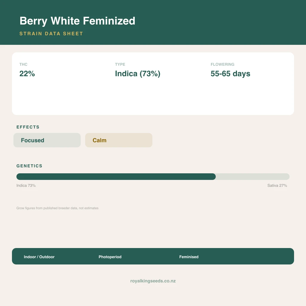 Berry White 73% indica / 27% sativa flower with visible trichomes