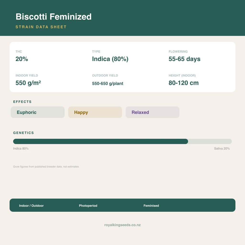 Biscotti 80% indica / 20% sativa flower with visible trichomes
