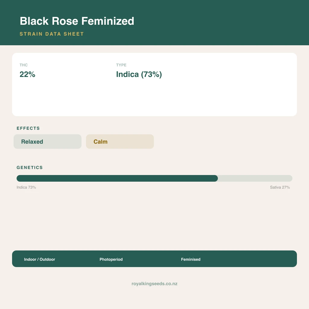 Black Rose 73% indica / 27% sativa flower with visible trichomes