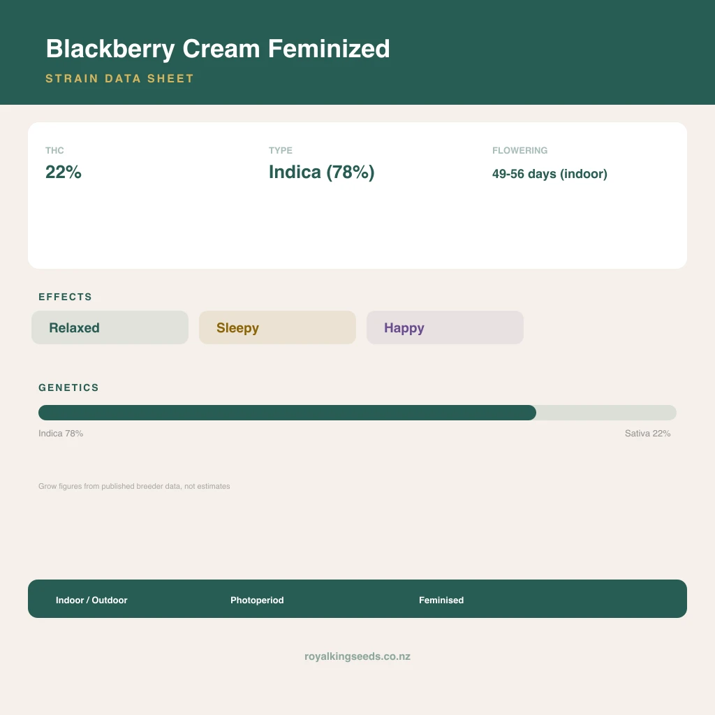 Blackberry Cream 78% indica / 22% sativa flower with visible trichomes