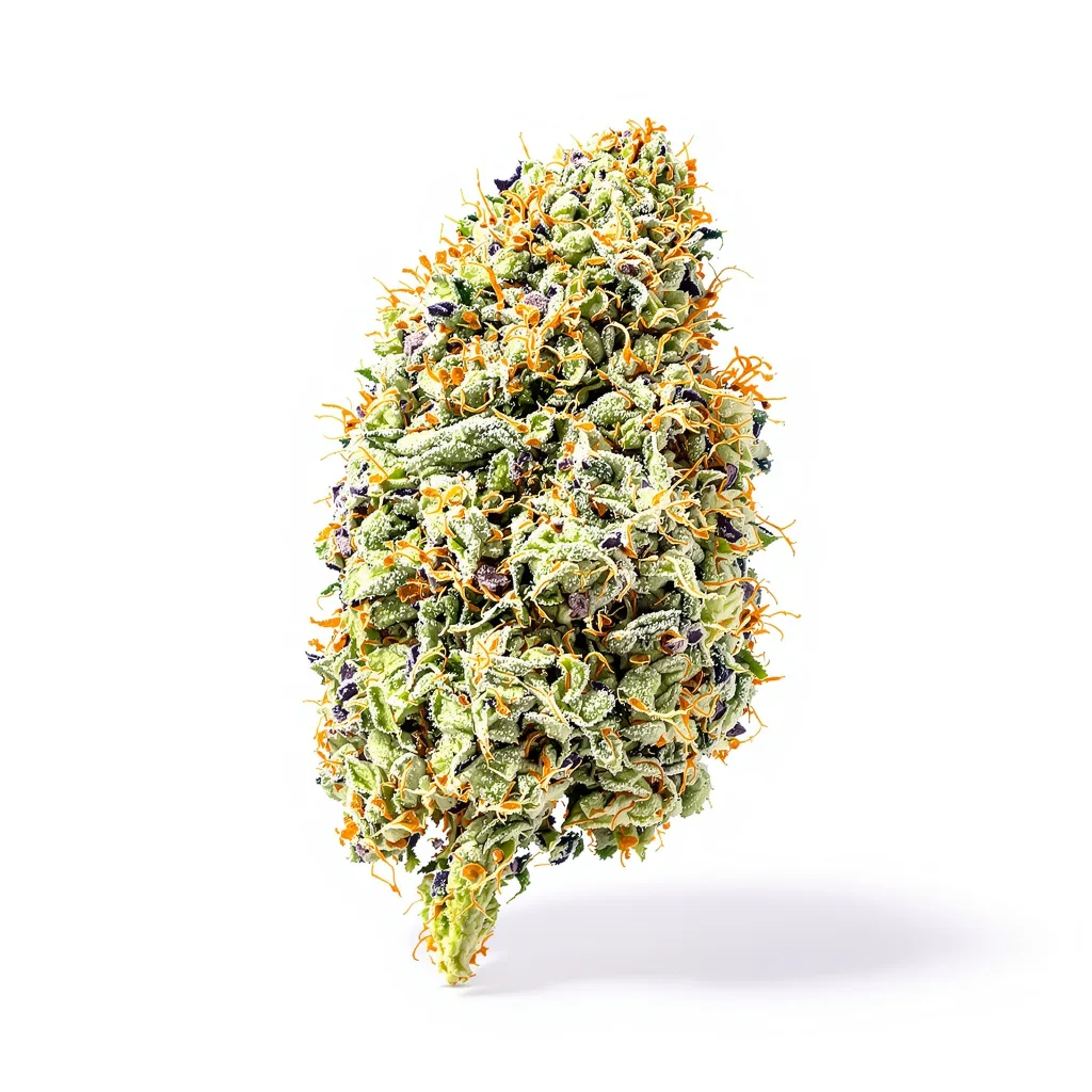 Blackberry Pie 51% indica / 49% sativa flower with visible trichomes