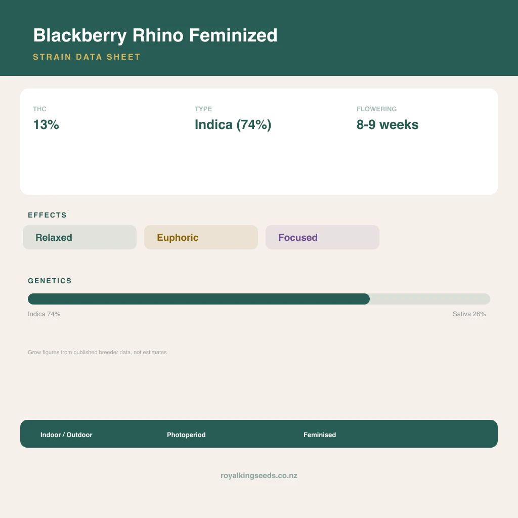 Blackberry Rhino 74% indica / 26% sativa flower with visible trichomes