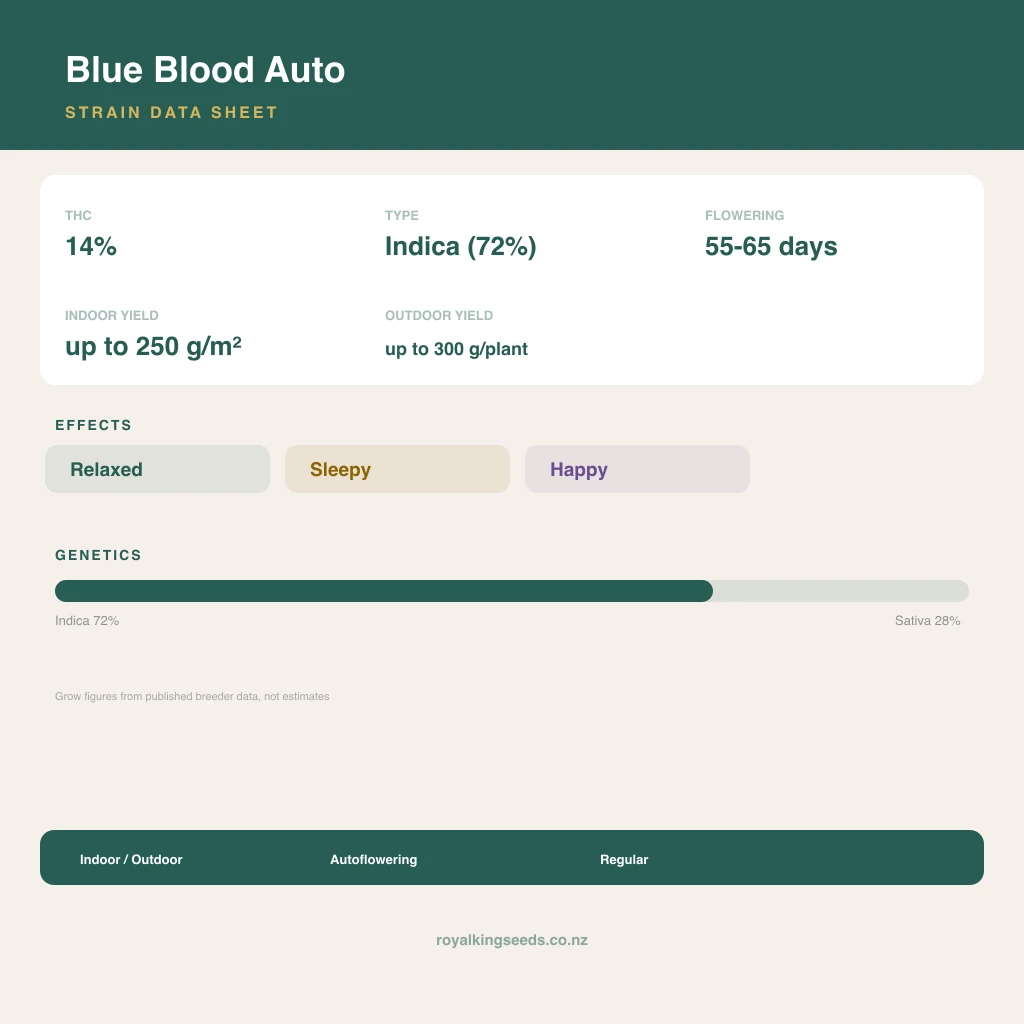 Blue Blood 72% indica / 28% sativa flower with visible trichomes