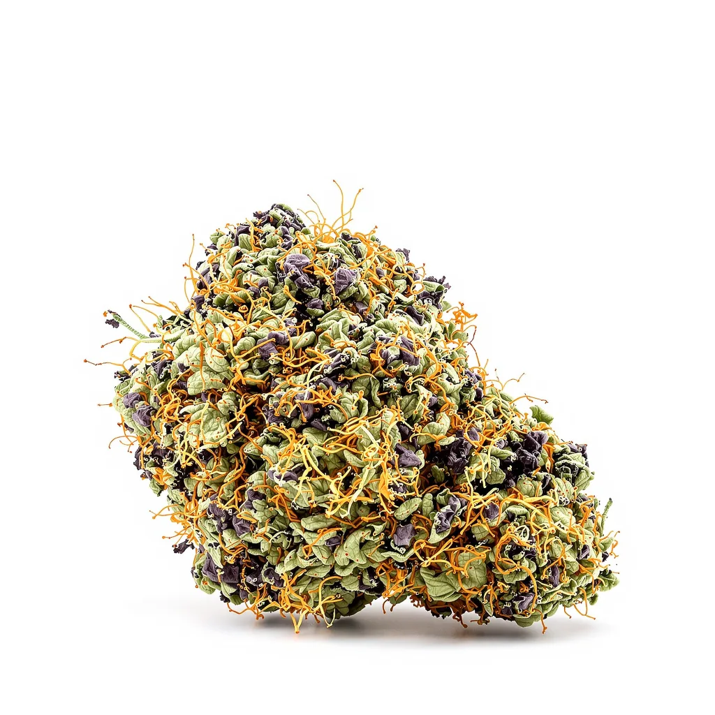 Blue Blood 72% indica / 28% sativa flower with visible trichomes