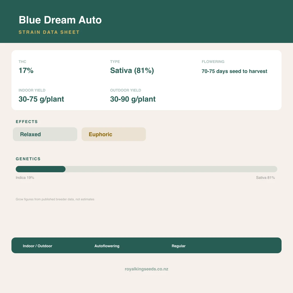 Blue Dream 19% indica / 81% sativa flower with visible trichomes