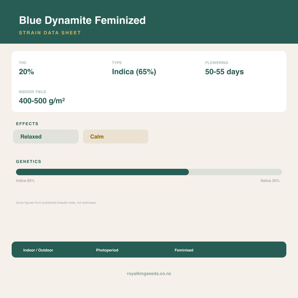Blue Dynamite 65% indica / 35% sativa flower with visible trichomes