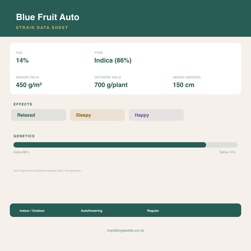 Blue Fruit 86% indica / 14% sativa flower with visible trichomes