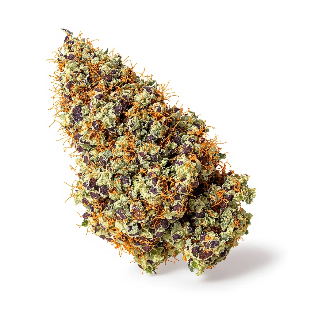 Blue Fruit 86% indica / 14% sativa flower with visible trichomes