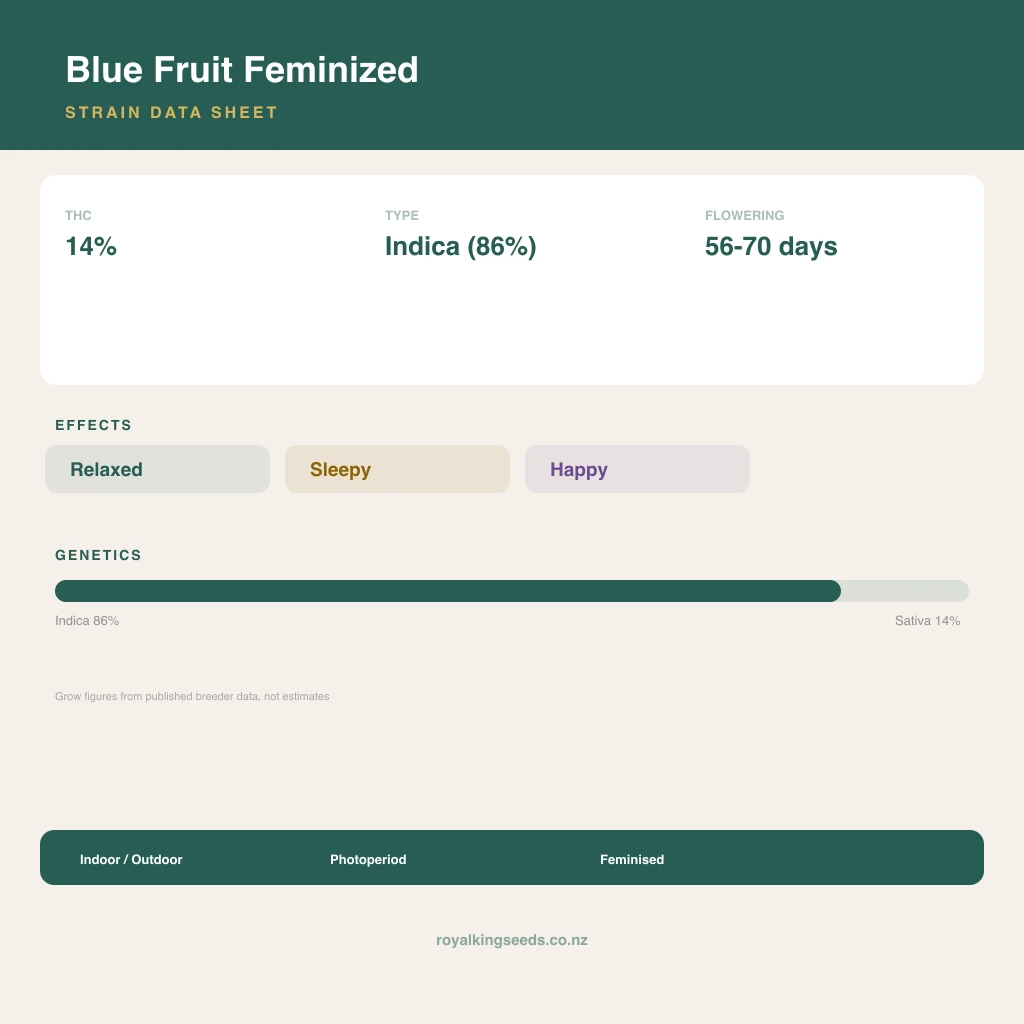 Blue Fruit 86% indica / 14% sativa flower with visible trichomes