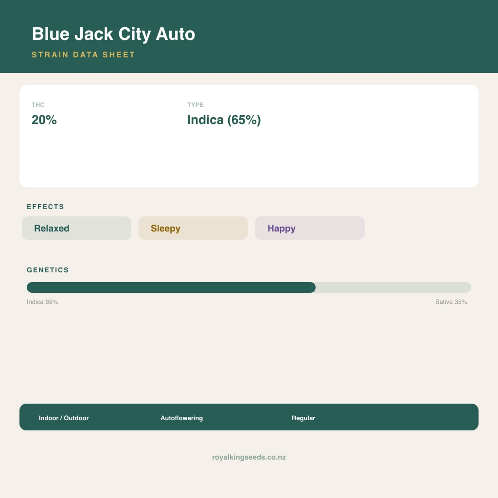Blue Jack City 65% indica / 35% sativa flower with visible trichomes
