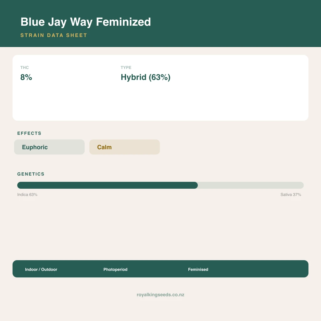 Blue Jay Way 63% indica / 37% sativa flower with visible trichomes