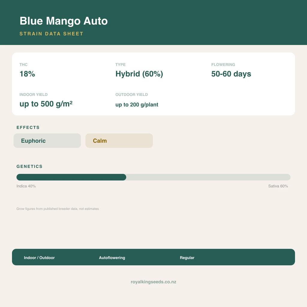 Blue Mango 40% indica / 60% sativa flower with visible trichomes