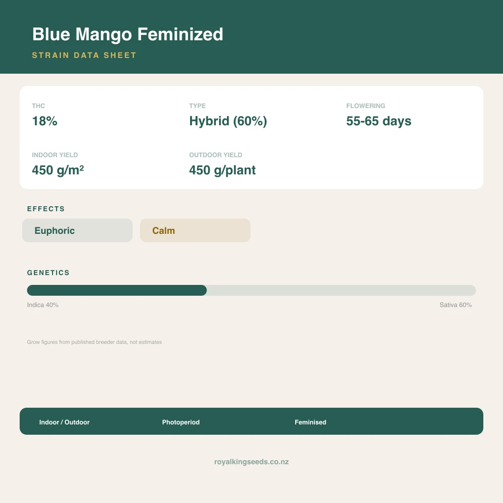 Blue Mango 40% indica / 60% sativa flower with visible trichomes