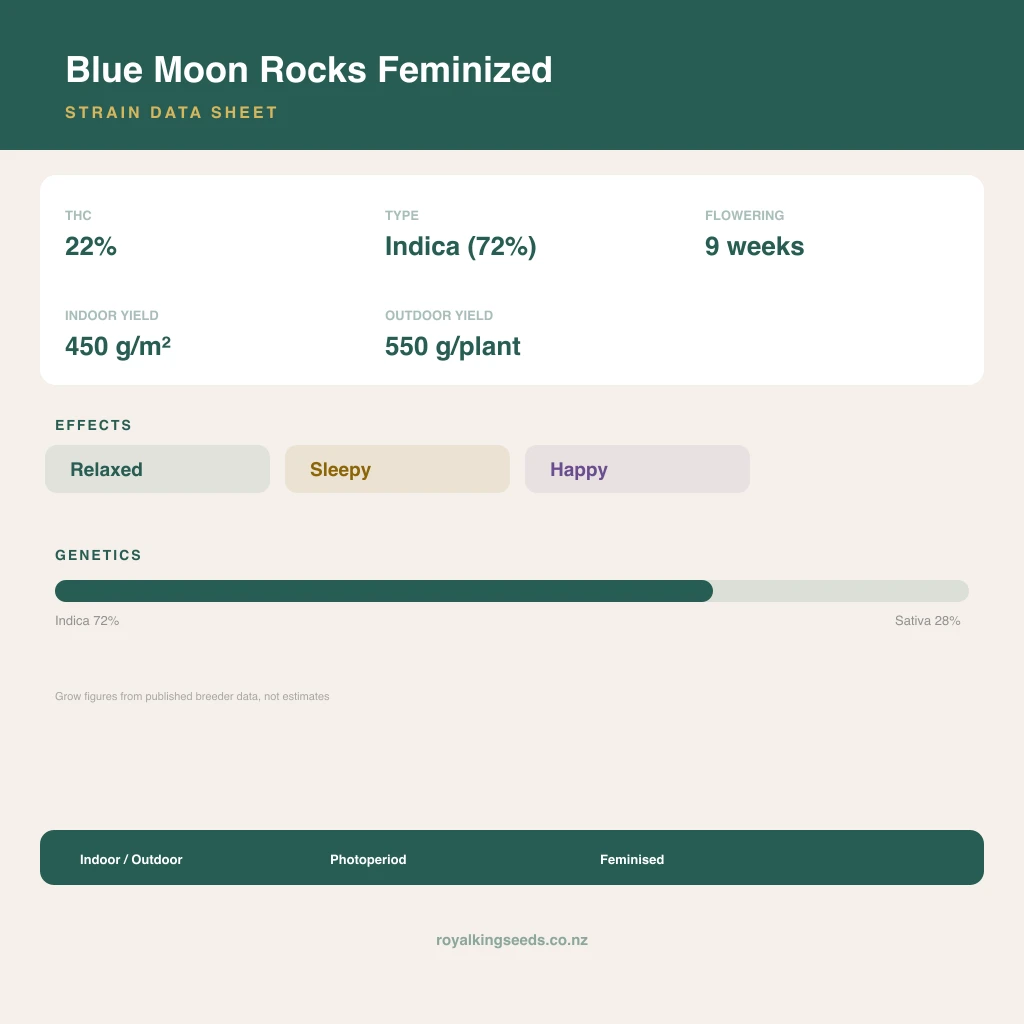 Blue Moon Rocks 72% indica / 28% sativa flower with visible trichomes
