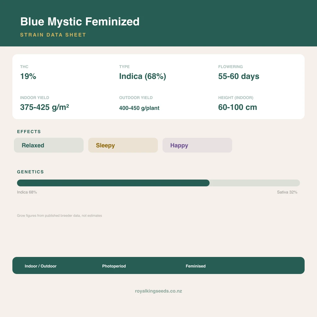 Blue Mystic 68% indica / 32% sativa flower with visible trichomes
