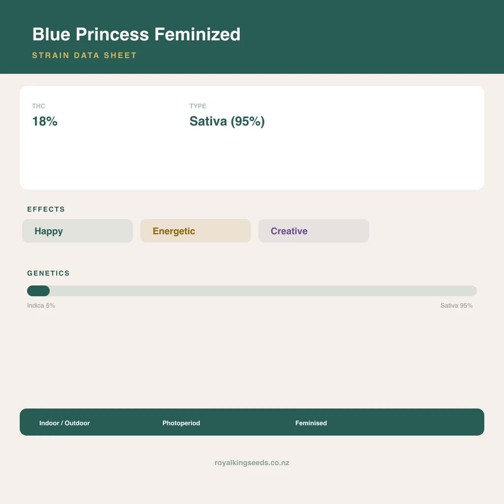 Blue Princess 5% indica / 95% sativa flower with visible trichomes