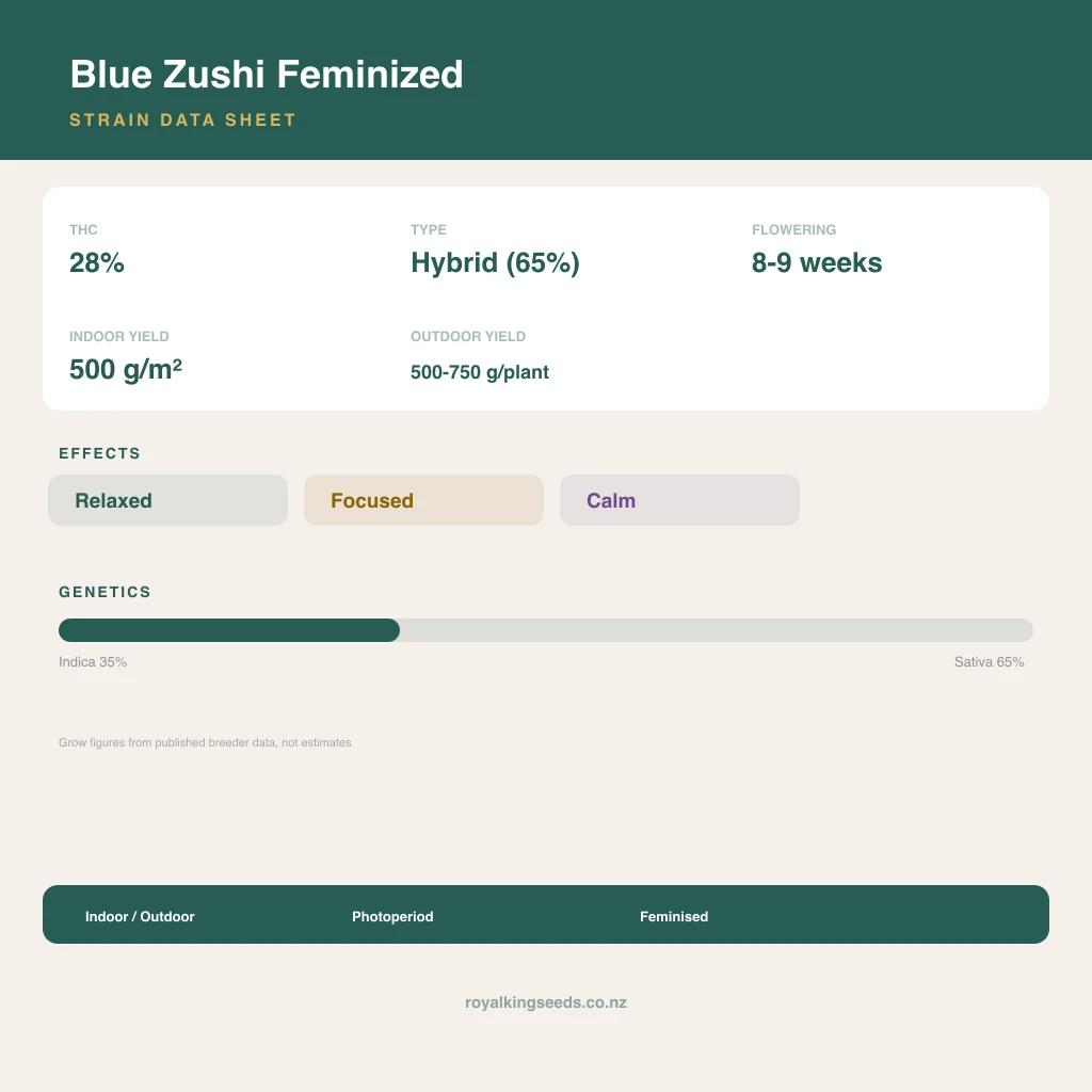 Blue Zushi 35% indica / 65% sativa flower with visible trichomes