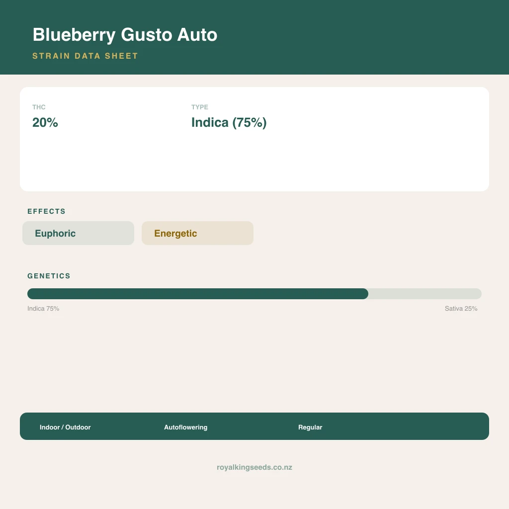 Blueberry Gusto 75% indica / 25% sativa flower with visible trichomes