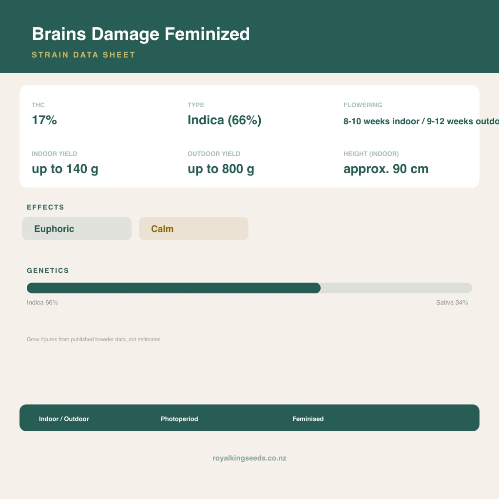 Brains Damage 66% indica / 34% sativa flower with visible trichomes
