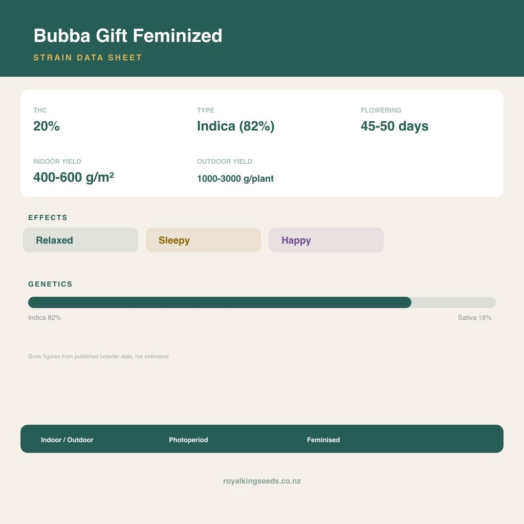 Bubba Gift 82% indica / 18% sativa flower with visible trichomes