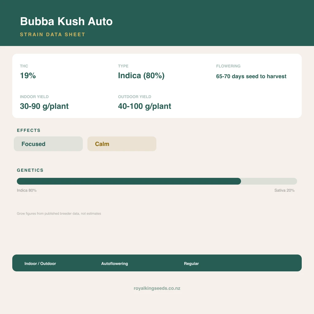 Bubba Kush 80% indica / 20% sativa flower with visible trichomes
