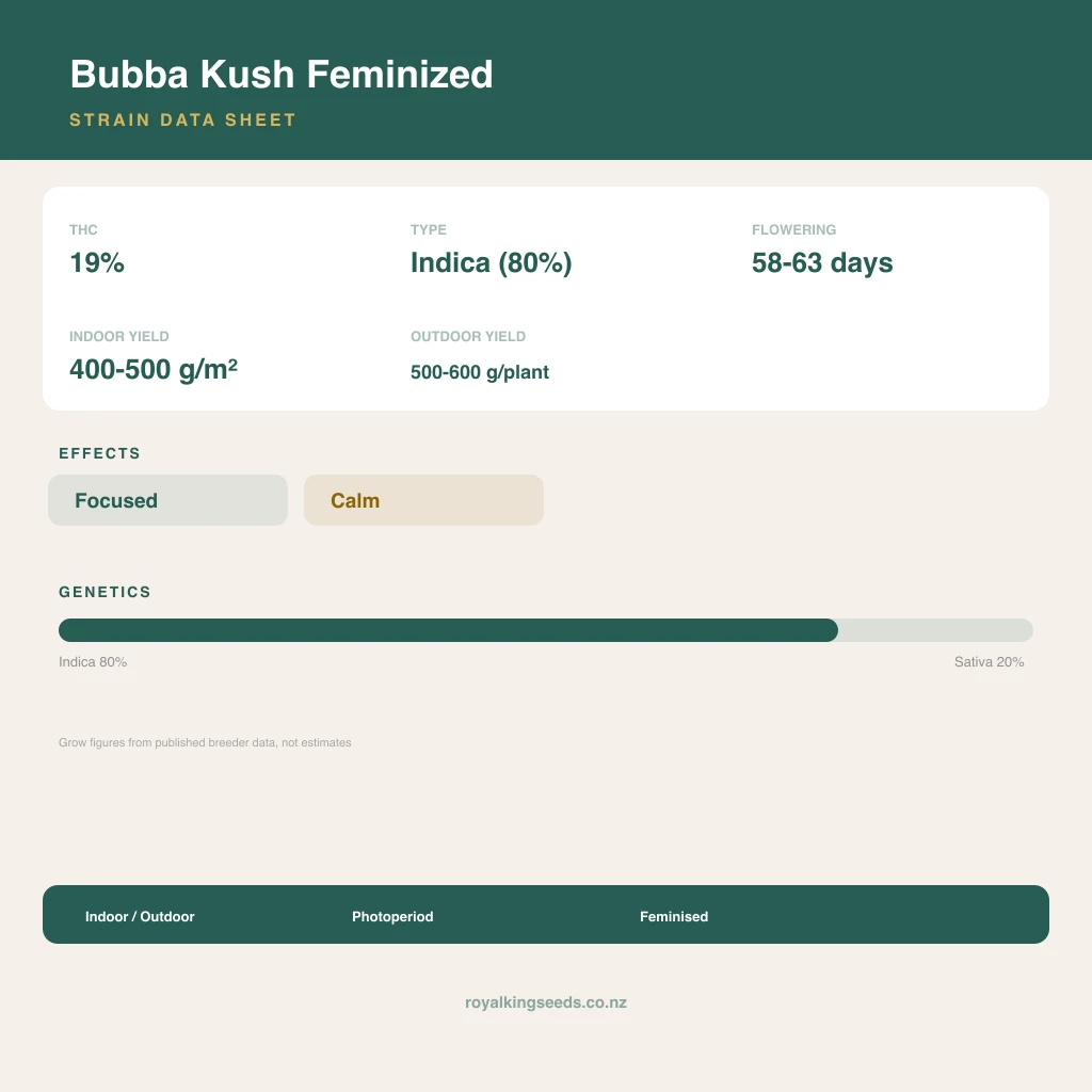 Bubba Kush 80% indica / 20% sativa flower with visible trichomes