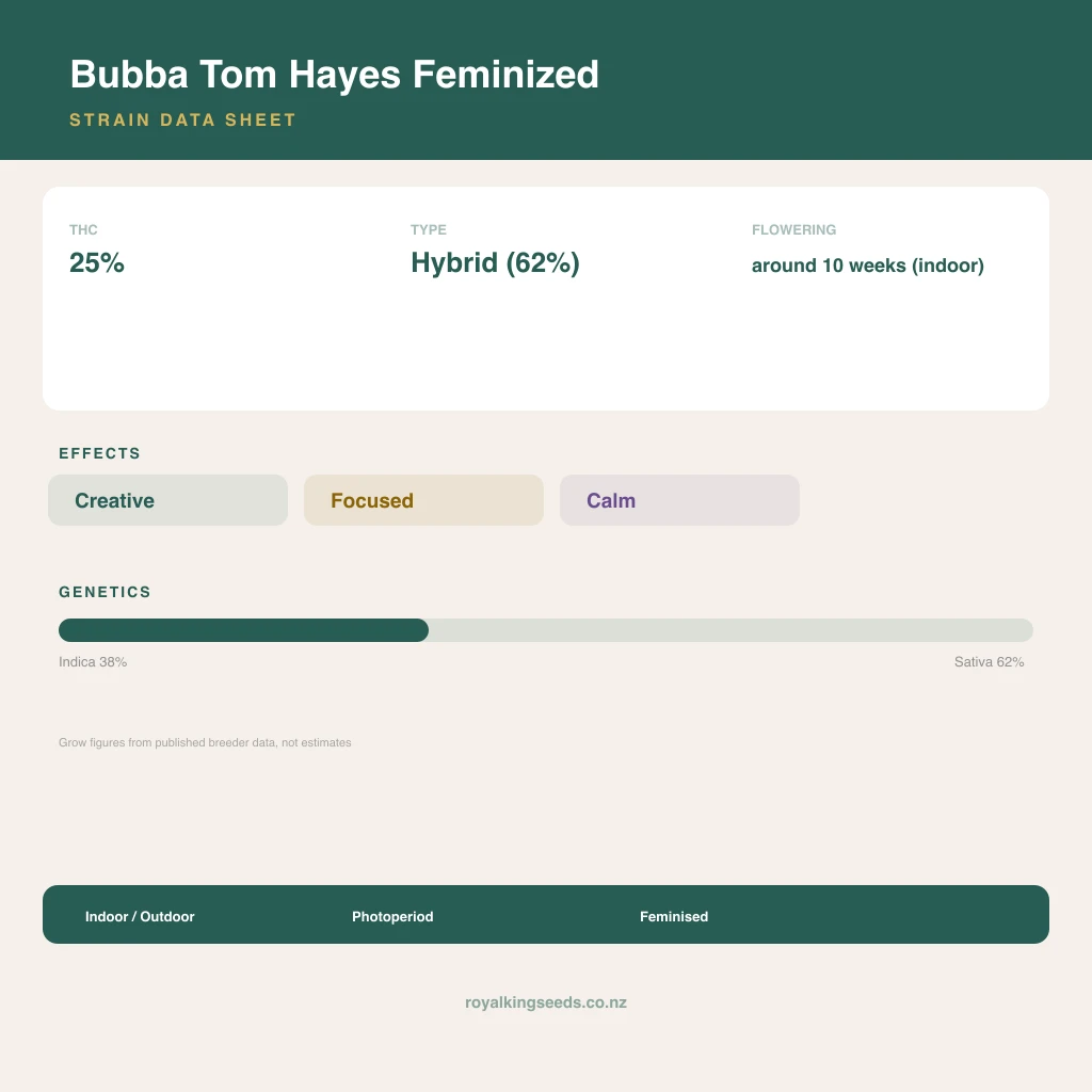 Bubba Tom Hayes 38% indica / 62% sativa flower with visible trichomes