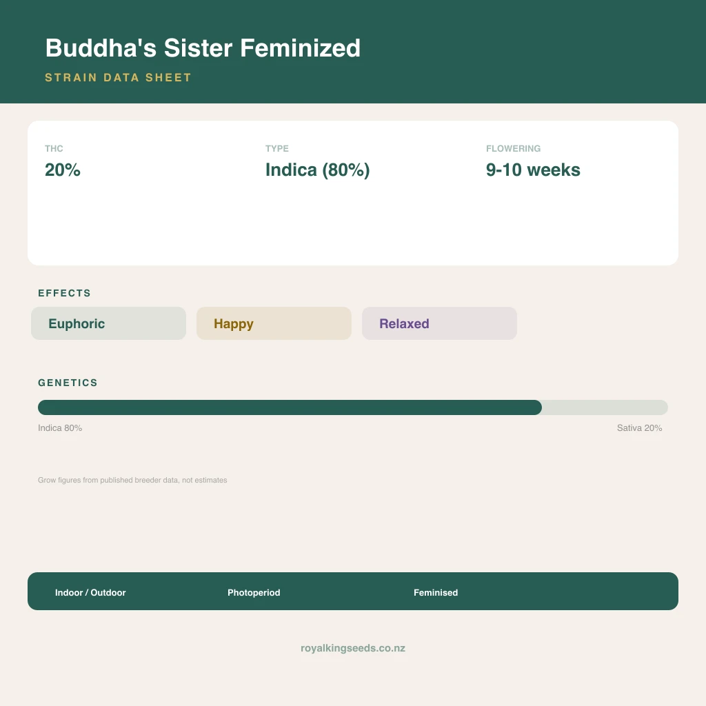 Buddha's Sister 80% indica / 20% sativa flower with visible trichomes