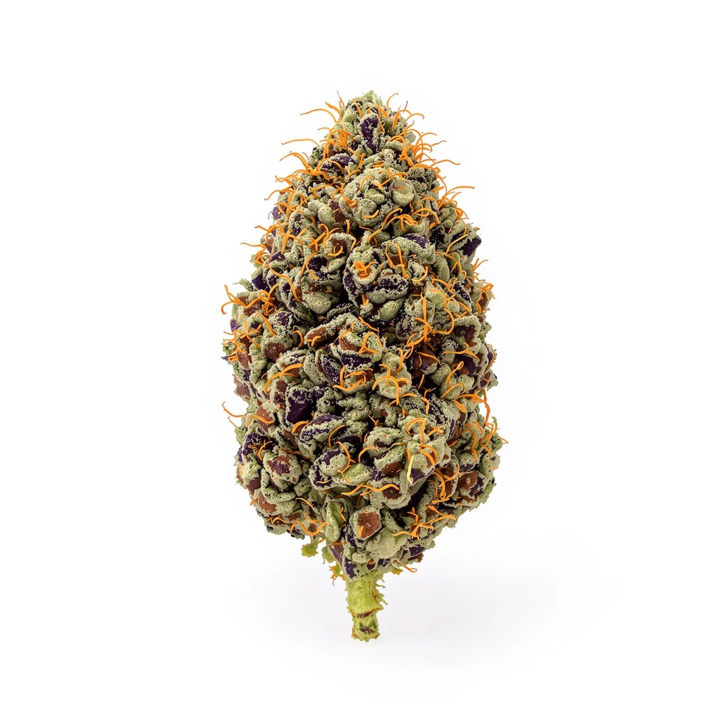 Burkle 78% indica / 22% sativa flower with visible trichomes