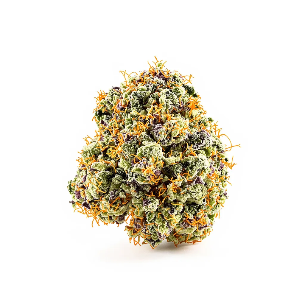 Burmese Kush 50% indica / 50% sativa flower with visible trichomes