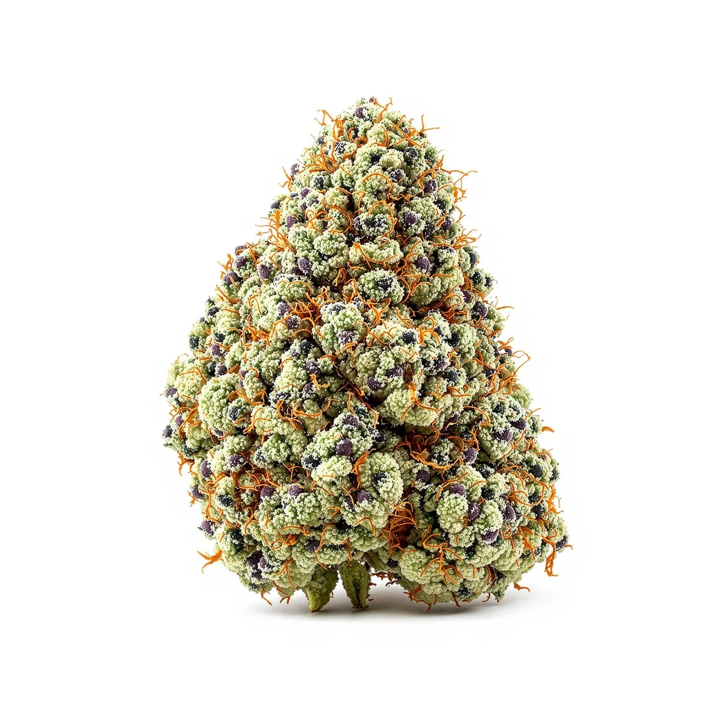 Cali Jack 36% indica / 64% sativa flower with visible trichomes