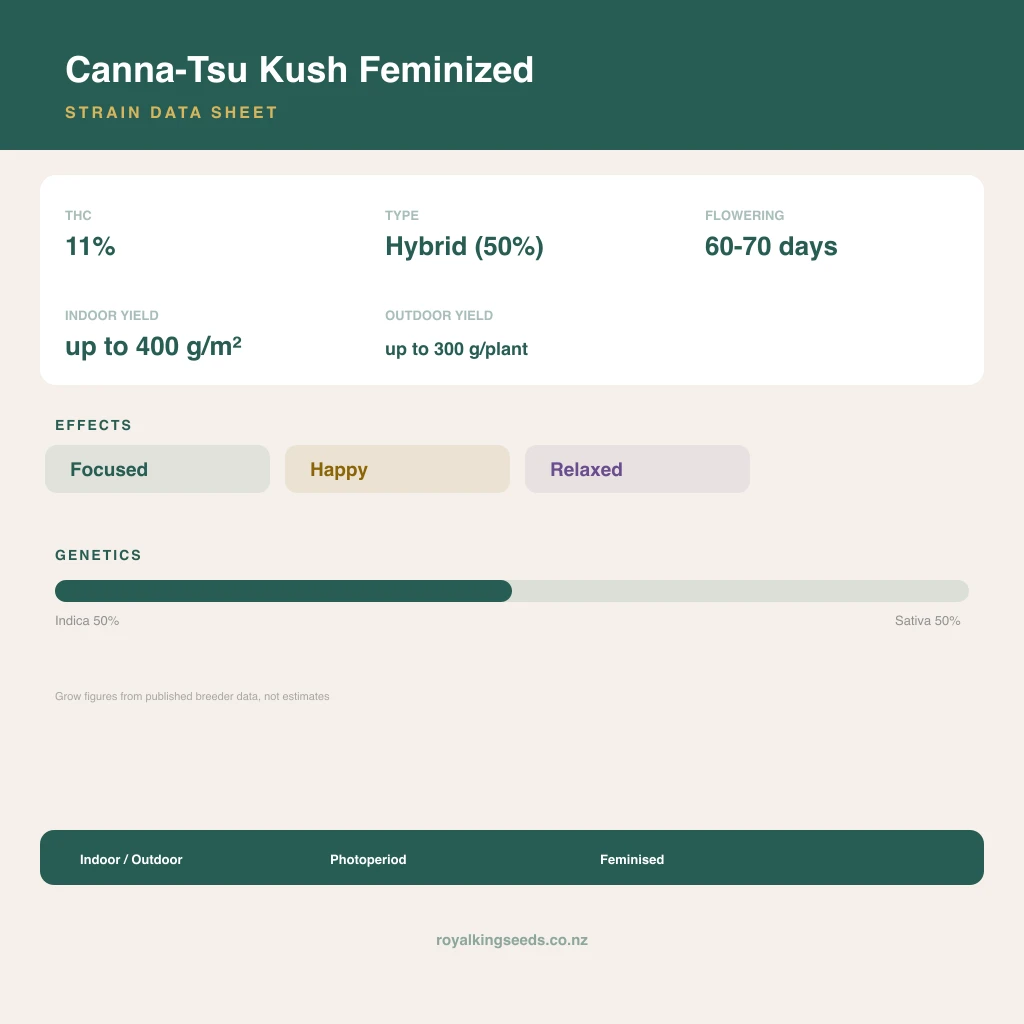 Canna-Tsu Kush 50% indica / 50% sativa flower with visible trichomes